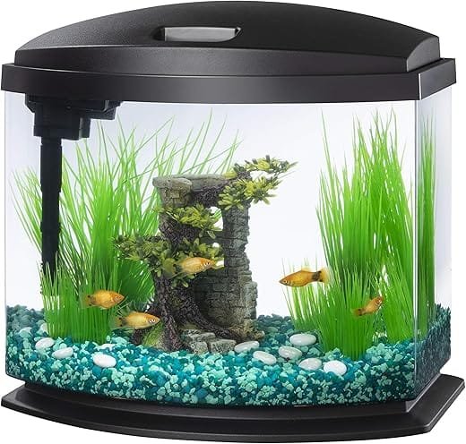 How to add new fish to an established aquarium?