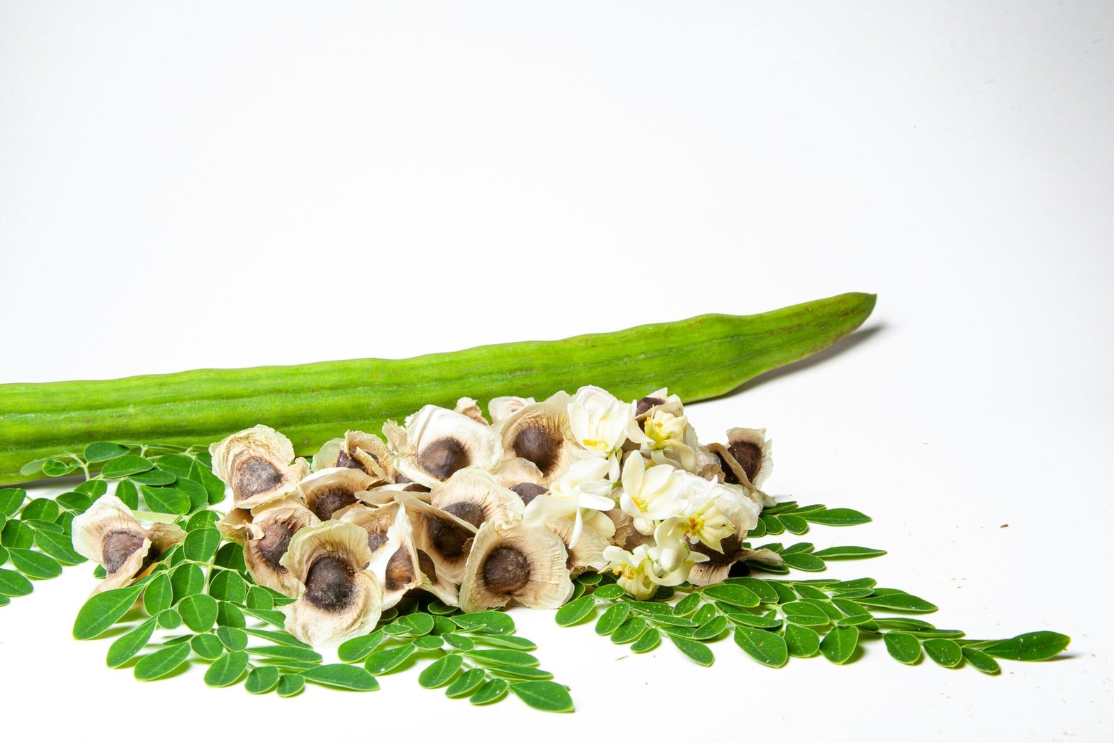 Exploring How Moringa Can Support Bone Health