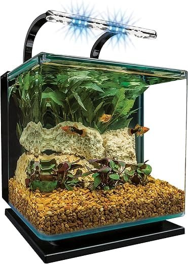 How to aquascape a nano aquarium?