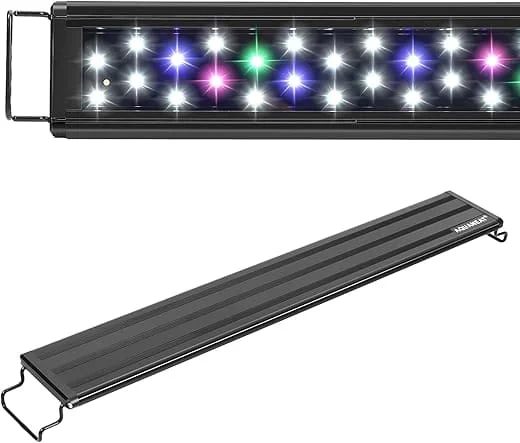 How to use LED lights to promote plant growth in aquariums?