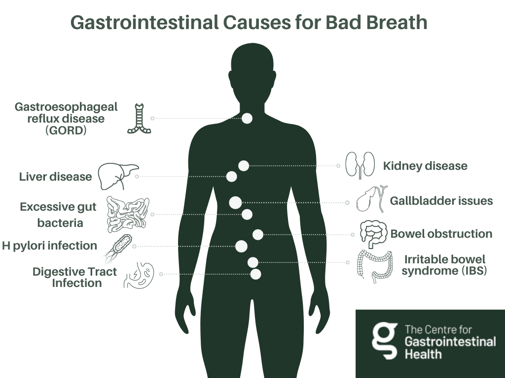 Identifying Stomach-Related Causes of Bad Breath