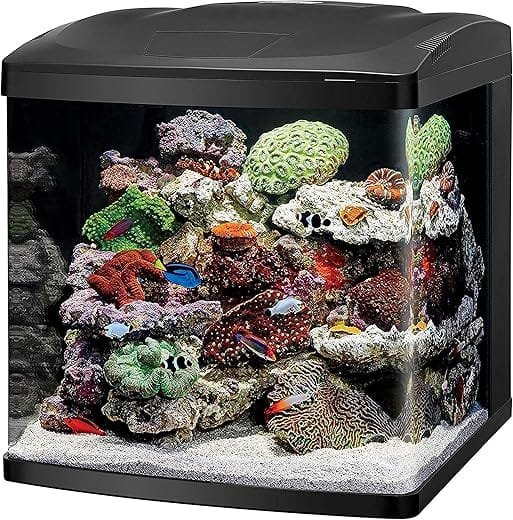 How to maintain water quality in a Coralife Biocube LED Aquarium?