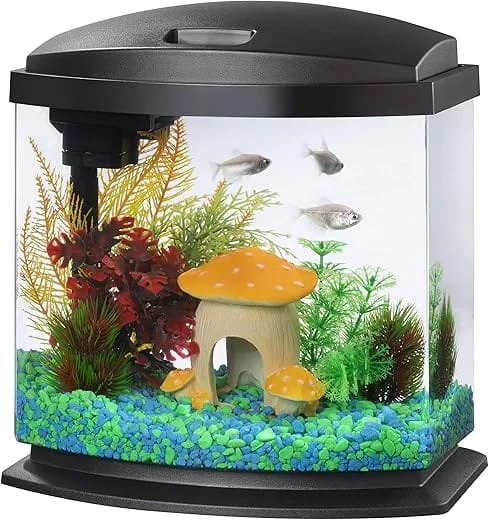 Maintaining Water Quality in Small Aquariums