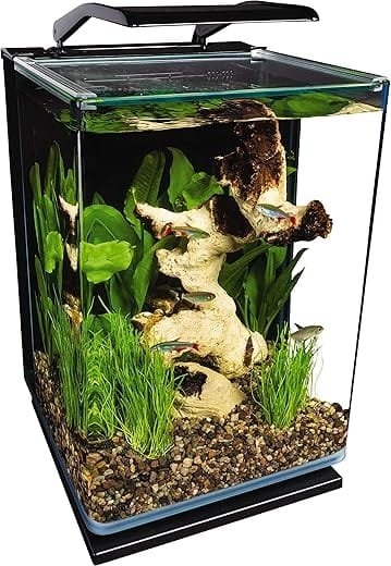 Top 6 Must-Have Fish Tank Products