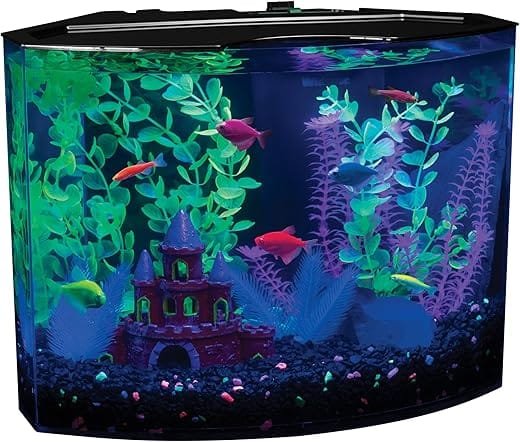 How to troubleshoot common GloFish aquarium problems?