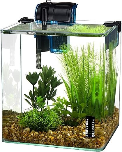 How to troubleshoot leaks in a Penn Plax Curved Corner Glass Aquarium?